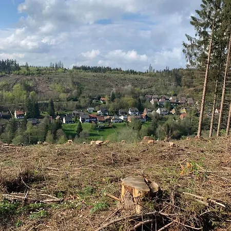 Ferienwohnung Kleine Auszeit In Altenau شقة